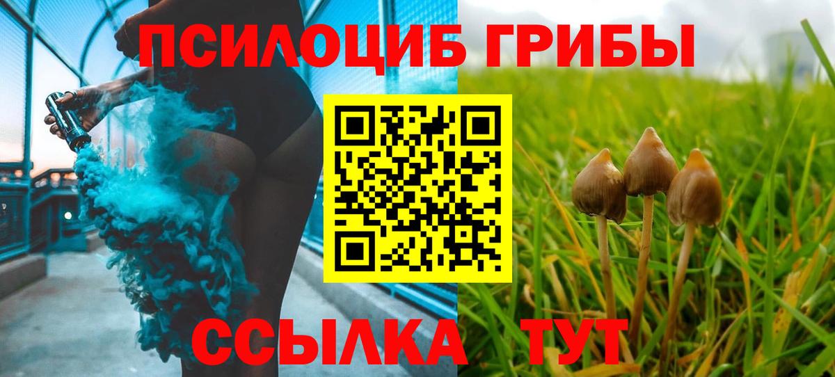 Псилоцибиновые грибы мицелий Гусиноозёрск
